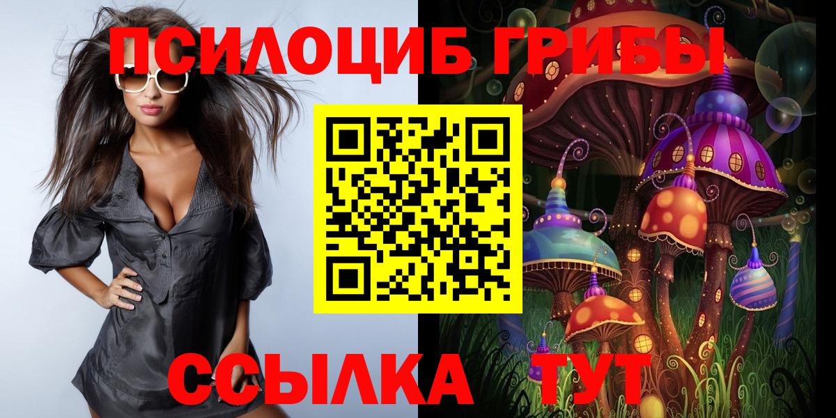 продажа наркотиков  Галлюциногенные грибы Magic Shrooms  Вход с VPN  Ипатово  Псилоцибиновые грибы Psilocybe 